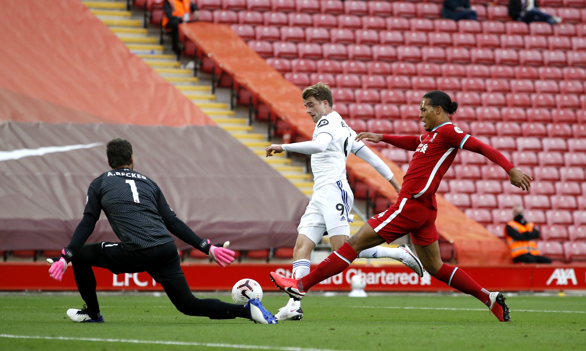 定的发展期 定的发展期